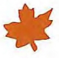 Mylar Confetti Shapes Maple Leaf (2")